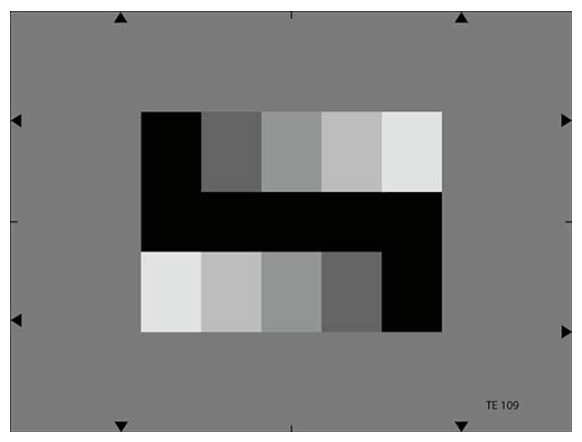te109.png te109.png
